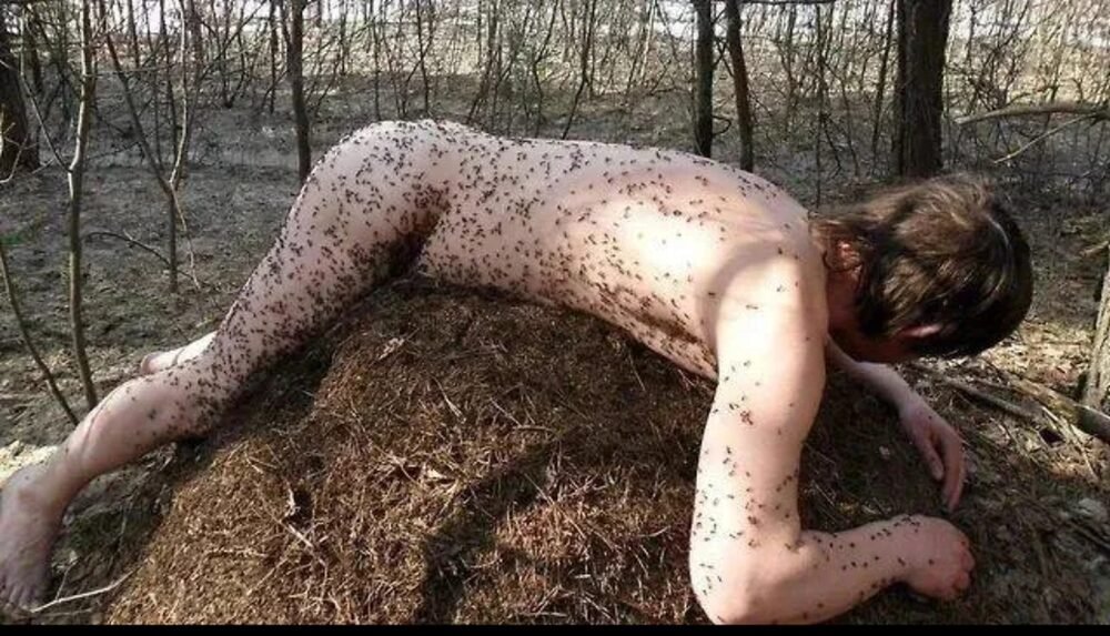 Is “Anting” Just For Birds? This Butt-Naked Man Disagrees