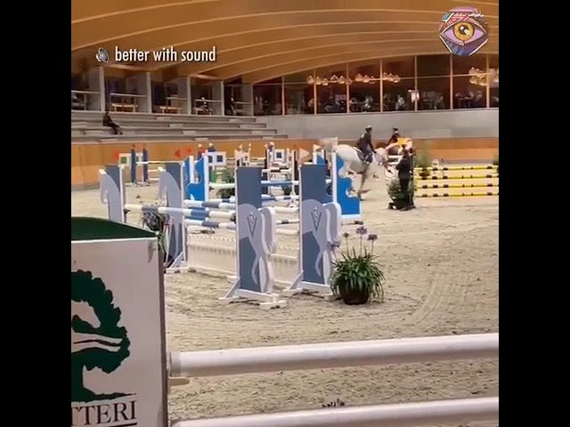 Viral Video: Horse Farts Every Time It Jumps, Leaves Millions Laughing